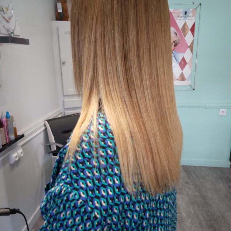 IMG_20240521_172651 IMG_20240521_172651